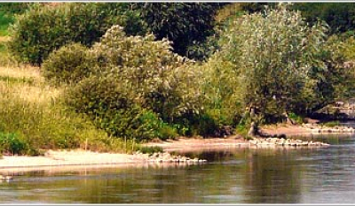 Gewässerschutz in Rinteln wasser2.jpg