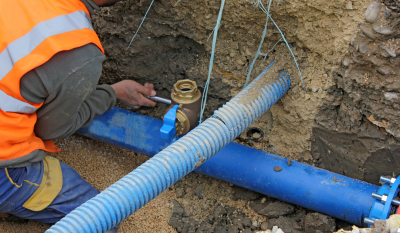 AdobeStock 286894222